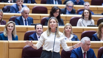 PP pide investigar en Senado