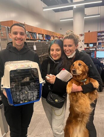 Rumikuub no era ningún gato