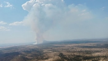 El Infoex activa el nivel 1 en dos incendios forestales en Hornachos y Campillo de Llerena