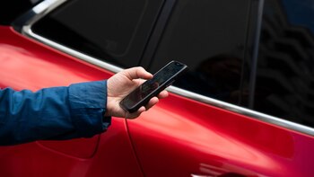 ¿De vacaciones con coche alquilado?