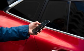 ILUSTRACIÓN - Conviene examinar el