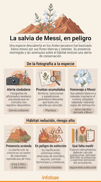 Infografía con dibujos de una flor, unas montañas, una cámara, unas hojas botánicas, fuego y varios iconos junto con el logotipo de Infobae.