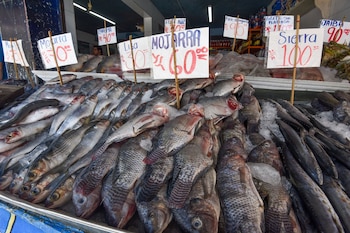 La carne roja se debe