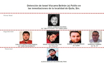 Niveles en la estructura criminal