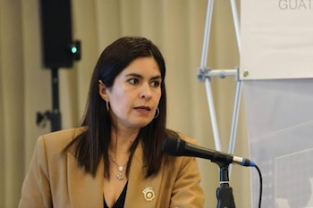 Una mujer con chaqueta marrón habla frente a un micrófono, situada junto a un panel informativo y una cortina