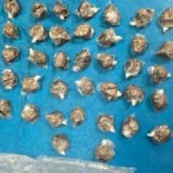 Los detenidos por transportar droga