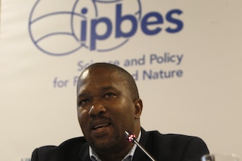 Imagen AVU6EYGTVJFVXCT2EDFDBIBKNI