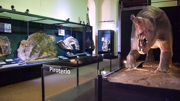 Este es el museo que