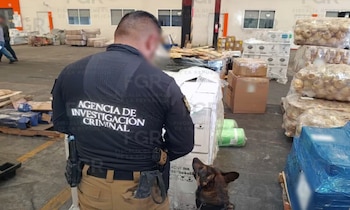 Elementos de la Agencia de Investigación Criminal hallaron 184 paquetes con metanfetamina durante una inspección en la empresa de mensajería. (Crédito: FGR)