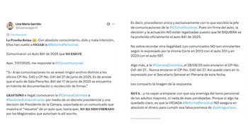 - crédito @linamariagarri1/X