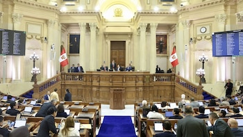 Elección de la Mesa Directiva del Senado EN VIVO HOY: las listas de candidatos y votación en el nuevo Congreso Bicameral