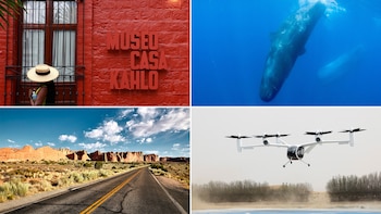 Desde experiencias artísticas hasta fenómenos