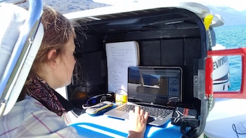 Débora Beigt, investigadora del Grupo