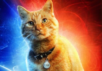 La adiestradora explicó que el refuerzo positivo es muy importante durante el adiestramiento (Twitter @captainmarvel)