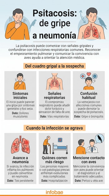Infografía con ilustraciones sobre la psitacosis que muestra personas con dolor torácico, pulmones con neumonía, un adulto mayor y un médico.