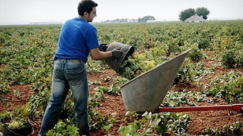 Los países ‘frugales’ exigen recortar cientos de miles de millones del presupuesto de la UE y ponen en el punto de mira las ayudas agrícolas que recibe España