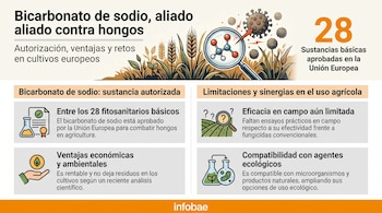 Infografía sobre el bicarbonato de sodio como fungicida en cultivos europeos, con texto que indica 28 sustancias aprobadas y gráficos de moléculas y plantas.