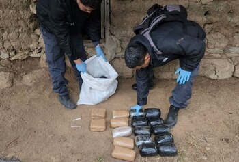 Las autoridades incautaron alrededor de