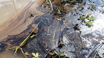 Río Amazonas sufre grave contaminación: más de 285 barriles de petróleo crudo fueron vertidos y dejan a familias sin agua