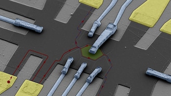 Las partículas que “recuerdan” su