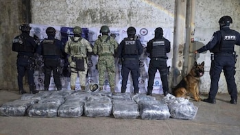 En el aseguramiento participaron diversos