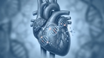 Un corazón humano en tonos azules con una doble hélice de ADN y estructuras moleculares brillantes superpuestas. El fondo difuminado muestra más hélices de ADN.