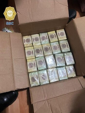 Al parecer los detenidos formarán