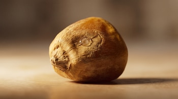 Un grano de maíz individual en primer plano. Tiene una pequeña gota translúcida en la superficie. Fondo difuminado neutro y cálido.