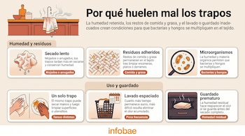Infografía con seis recuadros ilustrados y textos explicativos sobre la humedad, la suciedad, las bacterias y el lavado de trapos de cocina.