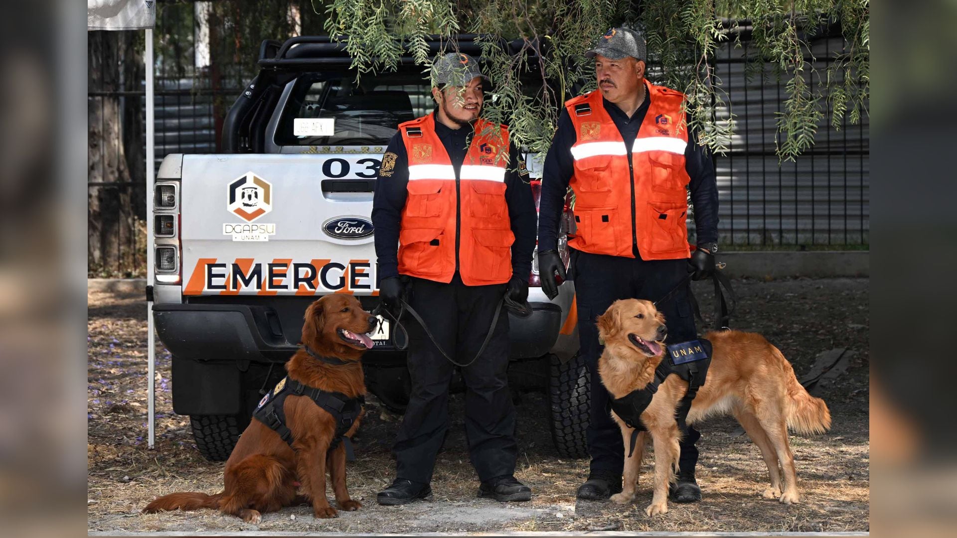Cuauhtli y Balam: los binomios caninos de la UNAM que se encargarán de detectar armas de fuego y explosivos