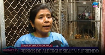 Animalistas esperaron al alcalde Sergio Baigorria desde temprano y personal de limpieza llegó casi al mediodía. ATV/ Magaly TV La Firme.