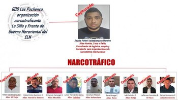 Estructura de la organización narcotraficante