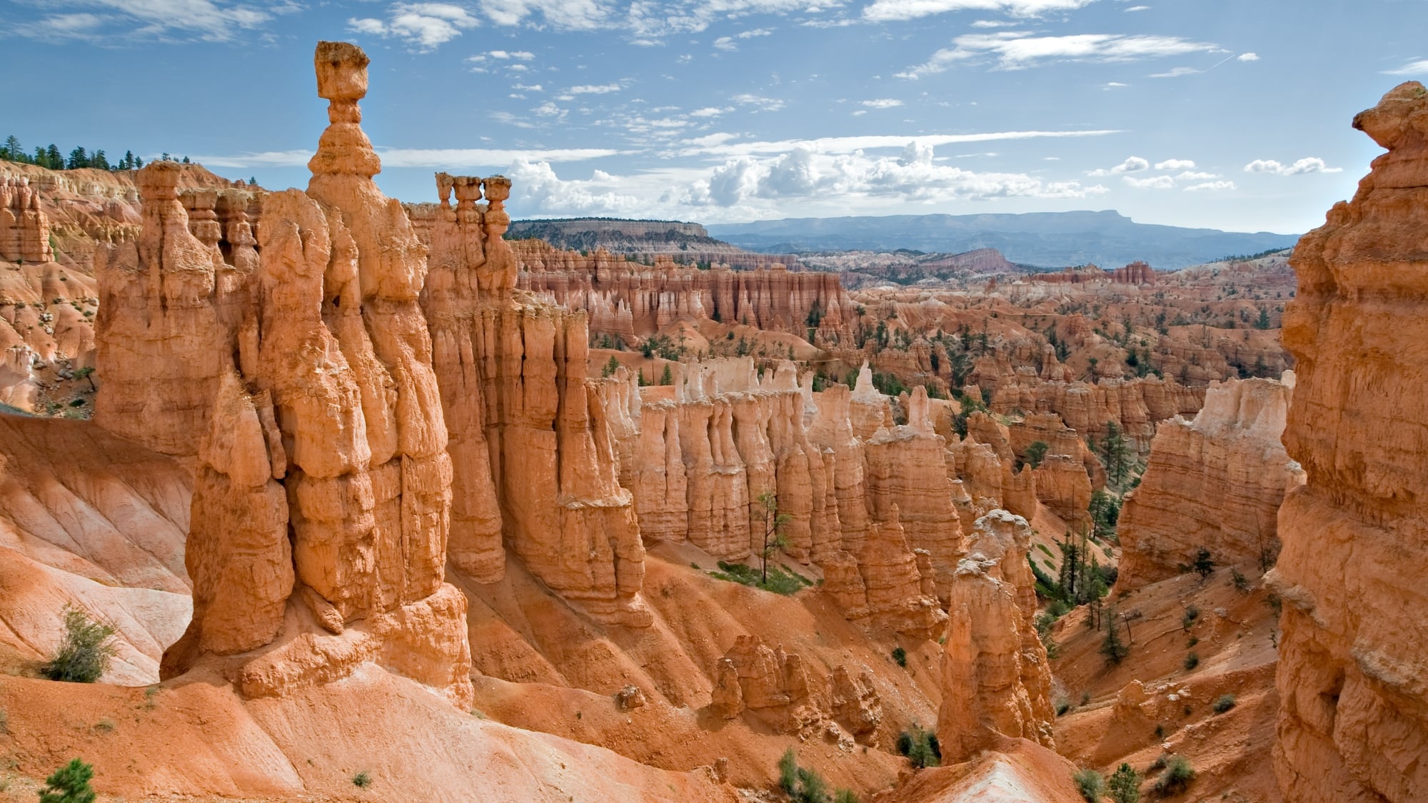 Las chimeneas de hadas de Capadocia, en Turquía, surgieron por la erosión de materiales blandos alrededor de columnas de basalto (Wikimedia Commons)