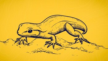 Fósiles revelan una especie de