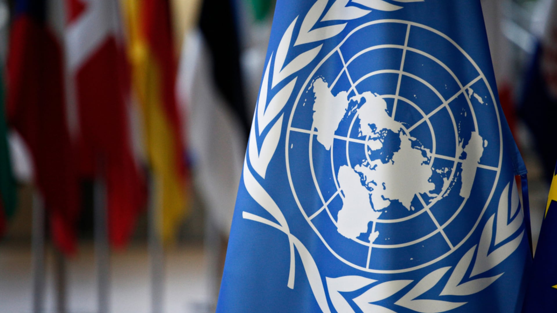 La ONU instó a los gobiernos nacional y locales a fortalecer la coordinación institucional para prevenir nuevos ataques y garantizar la protección de la población civil - crédito Alexandros Michailidis/Shutterstock