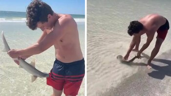 Estaba pescando y salió con