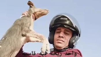 Youtuber marroquí fue sentenciado por publicar un video comiendo carne de un perro callejero