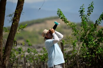 Para tomar fotos o ver