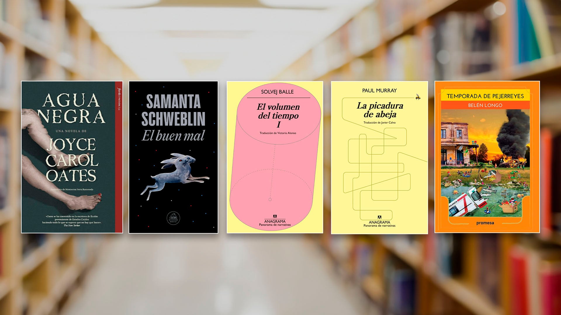 Los libros escogidos del año apuestan por lo sutil y lo minimalista antes que el ruido de los grandes escándalos