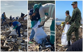 La jornada de recolección de
