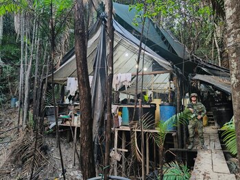 Autoridades colombianas desmantelaron un enorme