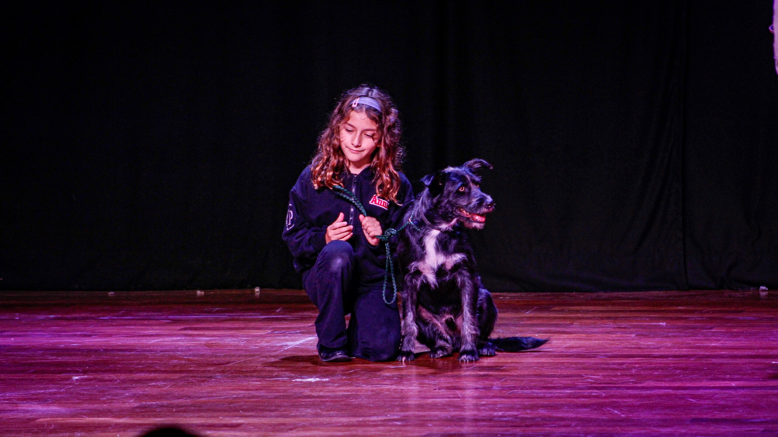 Barrabás, perro rescatado pasó el casting y participará en el musical Annie en Surco