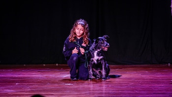 Barrabás, perro rescatado pasó el casting y participará en el musical Annie en Surco