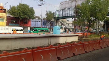 Obras de la Línea V del Mexibús ocasionan tala de casi 200 árboles en Tlalnepantla
