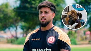 Primer plano del futbolista Caín Fara en un campo verde, con una imagen circular superpuesta de un perro marrón herido siendo examinado por manos enguantadas.