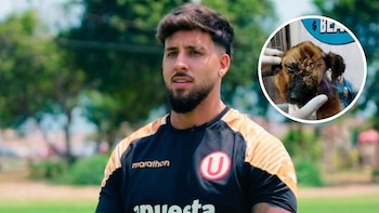 El gran gesto de Caín Fara, jugador de Universitario, con Camote, el perro al que golpearon hasta desfigurarle el rostro