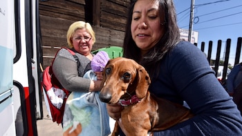 México, el país amante de