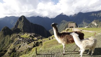 Extienden aforo en Machu Picchu