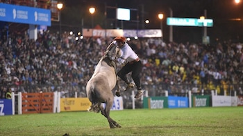 El festival de Jesús María