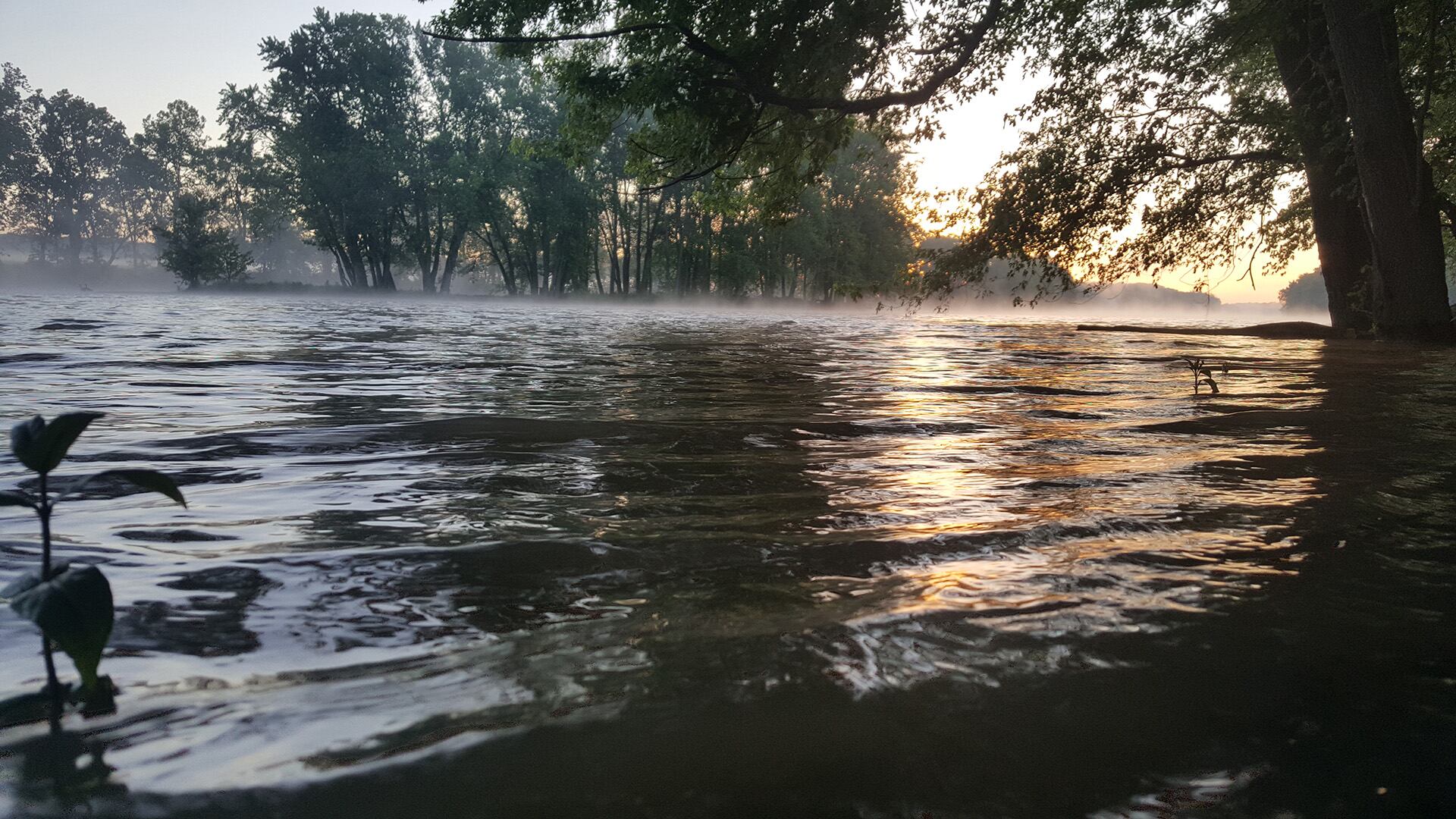 El nuevo análisis muestra que los modelos climáticos convencionales subestiman por tres veces el impacto de las lluvias extremas/Archivo Infobae